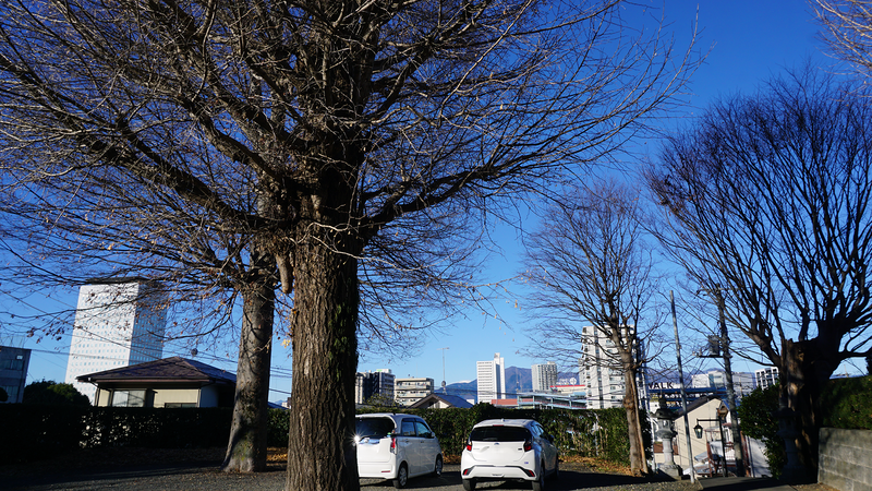 お正月初詣散歩2026②