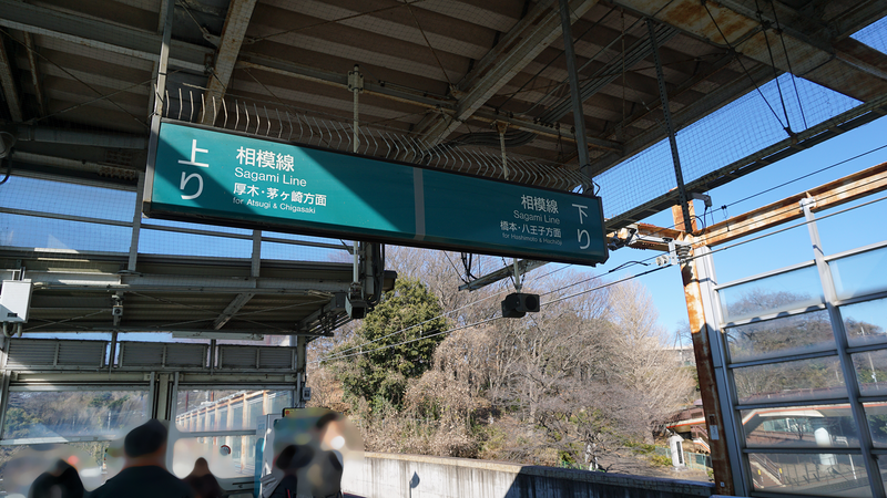 お正月初詣散歩2026⑤