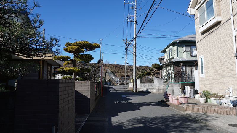 お正月初詣散歩2026⑤