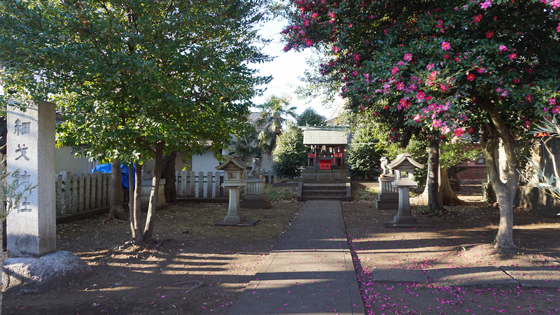 お正月初詣散歩2026⑥