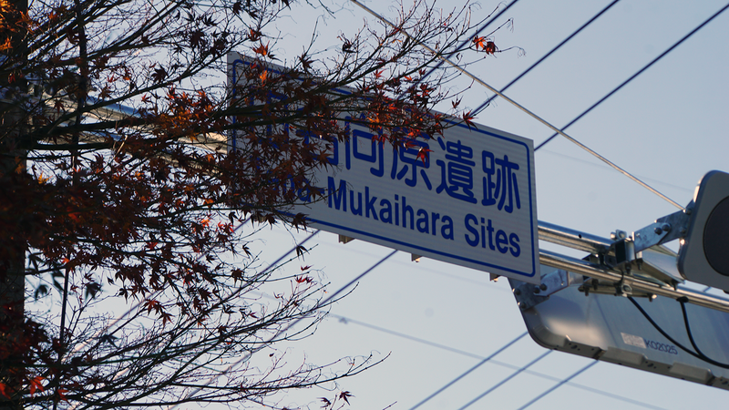 県道48号線⑦ ―鍛冶屋相模原線を歩いてみた―