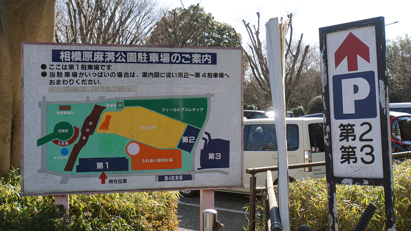 相模原ギオンスタジアムの駐車場