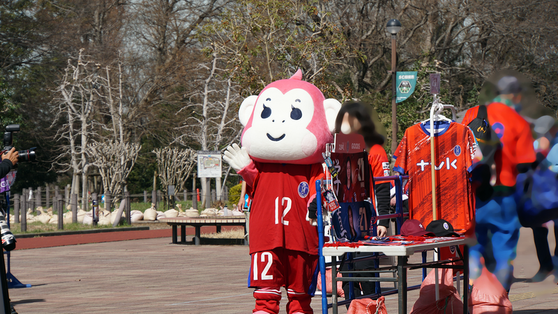2026年2月28日 ノジマステラ神奈川相模原 vs セレッソ大阪ヤンマーレディース