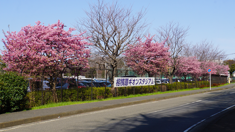 2026年3月1日　SC相模原 vs モンテディオ山形