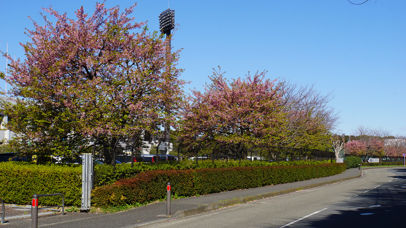 2026年3月8日　SC相模原 vs 栃木SC