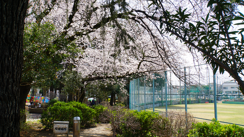 相模台公園（相模原市南区桜台）