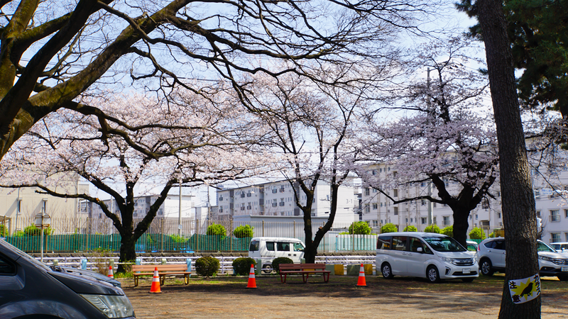 相模台公園（相模原市南区桜台）