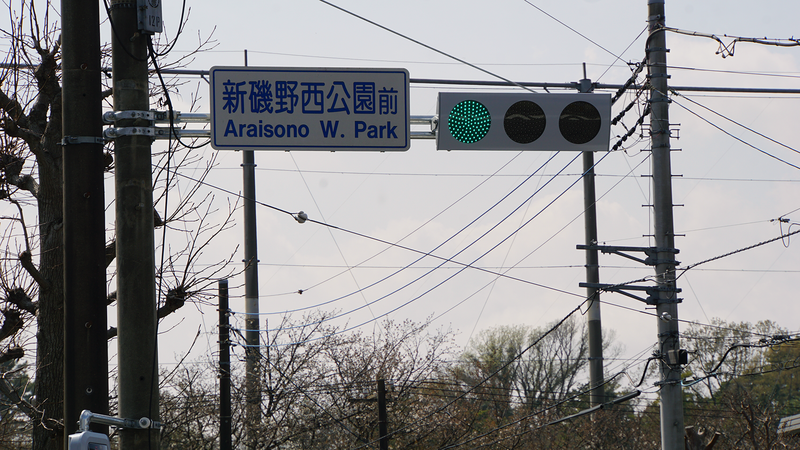 大沼・相模台・相武台 さくら散歩①（相模原市南区）