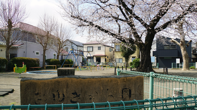 大沼・相模台・相武台 さくら散歩①（相模原市南区）