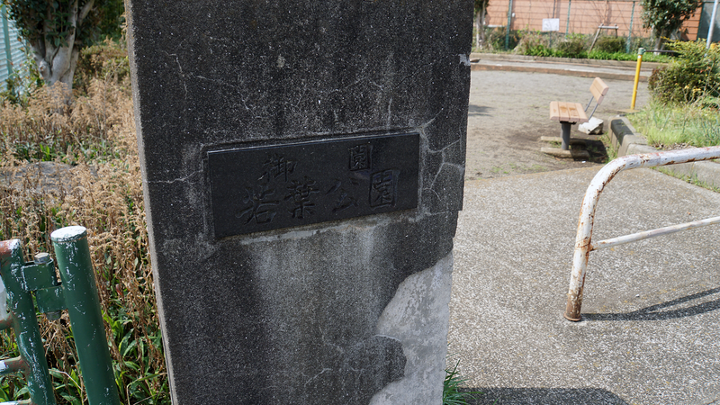 大沼・相模台・相武台 さくら散歩①（相模原市南区）
