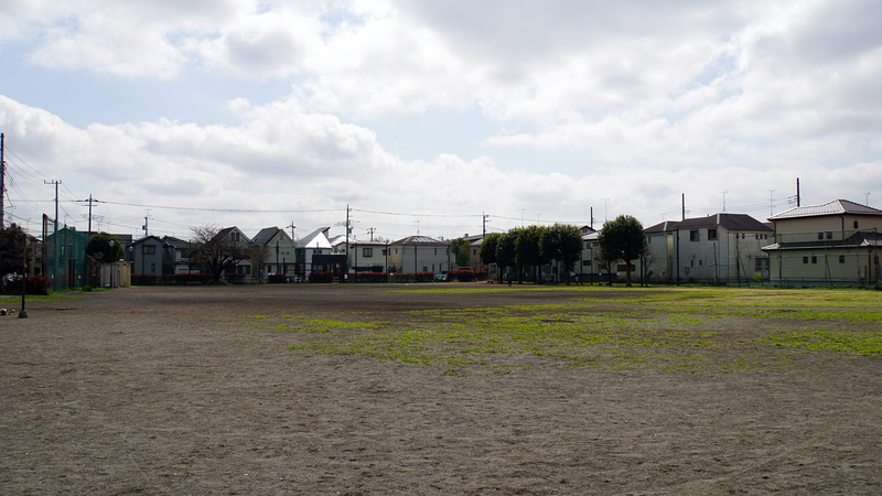 大沼・相模台・相武台 さくら散歩①（相模原市南区）