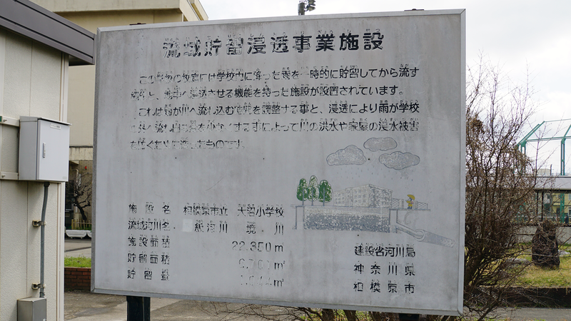 大沼・相模台・相武台 さくら散歩①（相模原市南区）