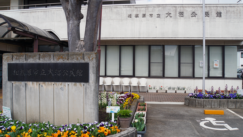 大沼・相模台・相武台 さくら散歩①（相模原市南区）