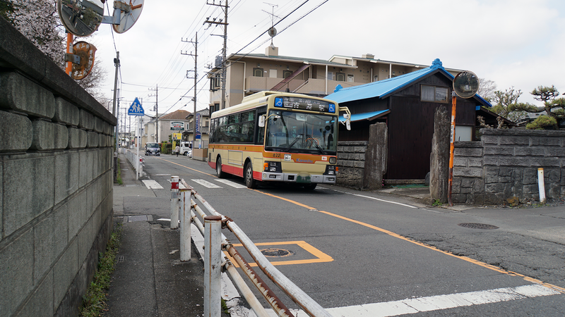 大沼・相模台・相武台 さくら散歩①（相模原市南区）