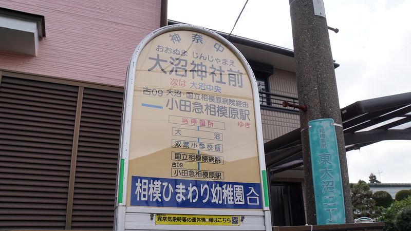 大沼・相模台・相武台 さくら散歩①（相模原市南区）