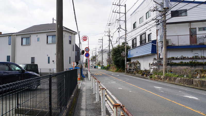 大沼・相模台・相武台 さくら散歩①（相模原市南区）