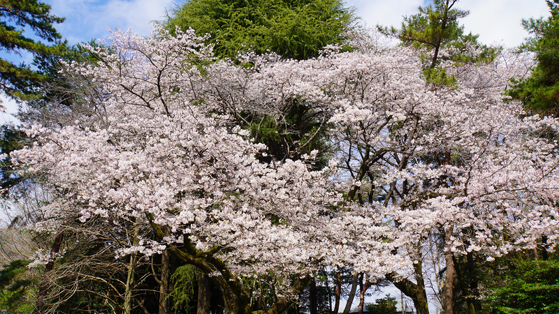 相模原市慰霊塔（相模原市南区東大沼）