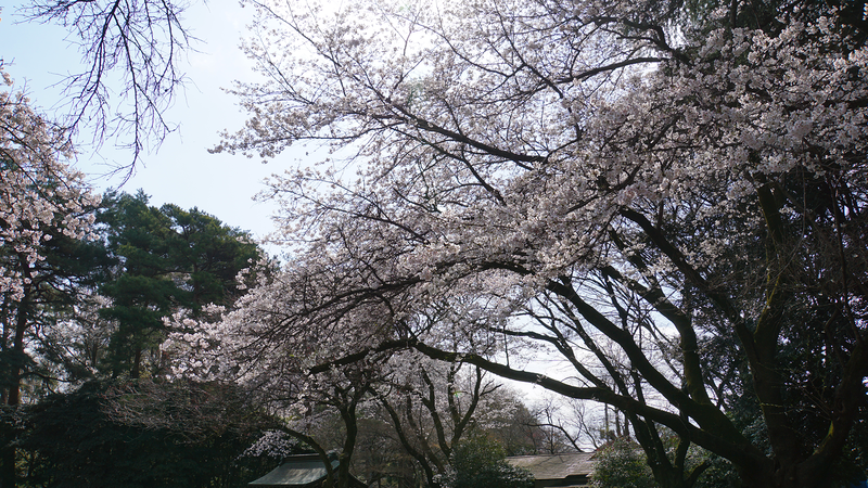 相模原市慰霊塔（相模原市南区東大沼）