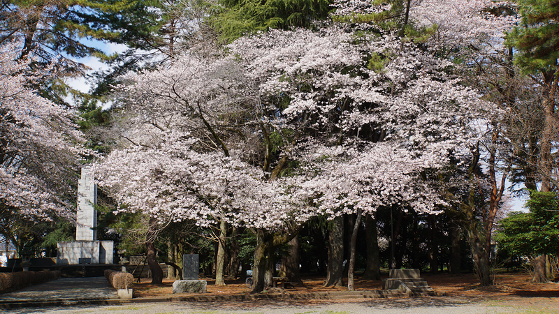 相模原市慰霊塔（相模原市南区東大沼）