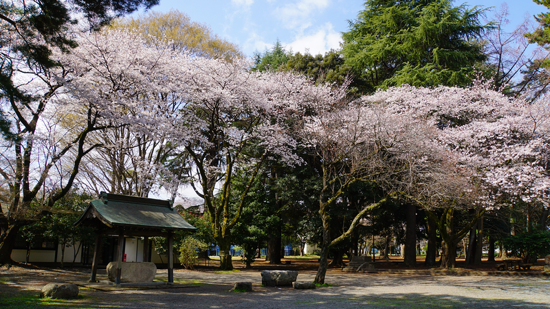 相模原市慰霊塔（相模原市南区東大沼）