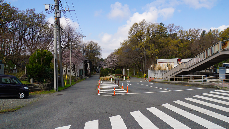 大沼・相模台・相武台 さくら散歩①（相模原市南区）