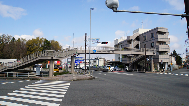 大沼・相模台・相武台 さくら散歩①（相模原市南区）