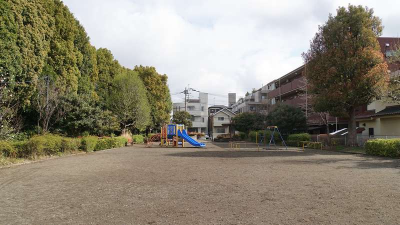 大沼・相模台・相武台 さくら散歩①（相模原市南区）