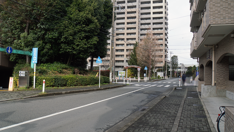 大沼・相模台・相武台 さくら散歩①（相模原市南区）