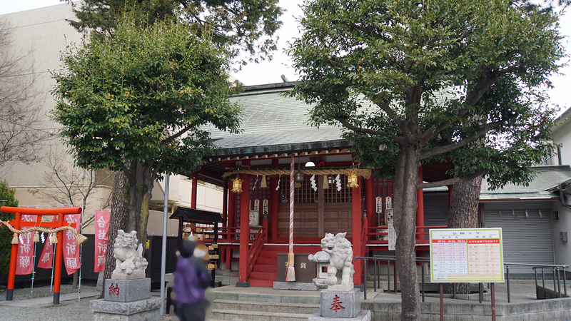 大沼・相模台・相武台 さくら散歩②（相模原市南区）