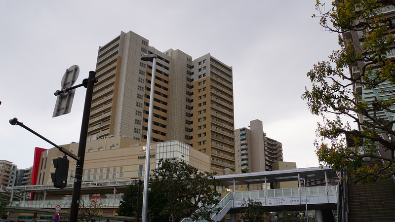 大沼・相模台・相武台 さくら散歩②（相模原市南区）