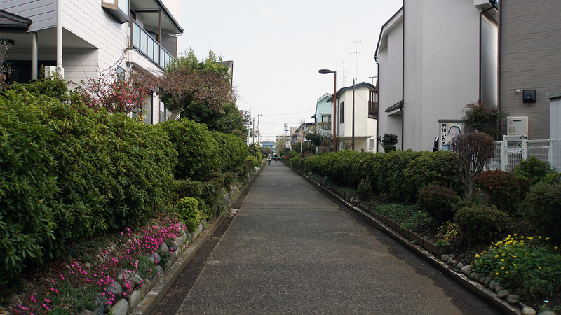 大沼・相模台・相武台 さくら散歩②（相模原市南区）