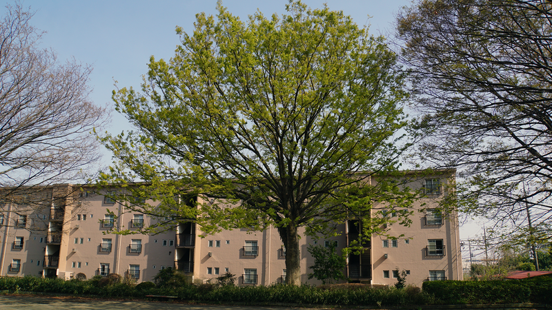 相武台団地第2公園・第3公園(相模原市南区相武台団地)