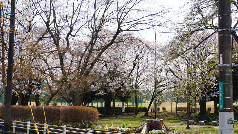 新磯野西公園(相模原市南区新磯野)