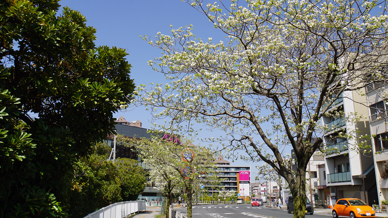 国道16号線①-2 ―東京環状を歩いてみた―