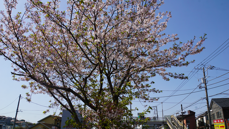 国道16号線①-3 ―東京環状を歩いてみた―