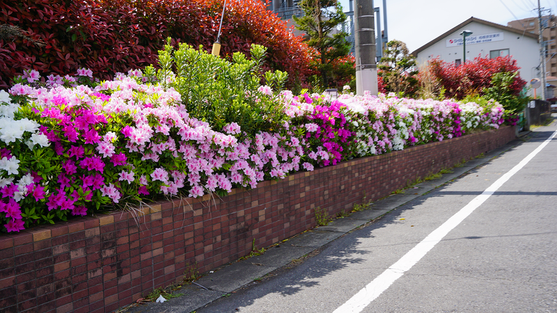 国道16号線②-3 ―東京環状を歩いてみた―