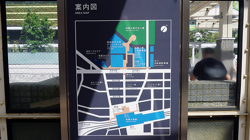 「さがみはら星空探査隊」に参加しました!(前編)