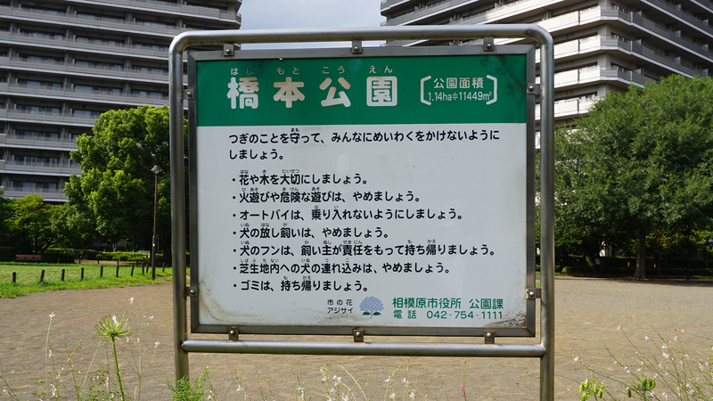 「さがみはら星空探査隊」に参加しました!(後編)