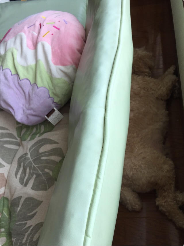 f:id:za85432:20180713013336j:plain f:id:za85432:20180713013336j:plain