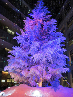 f:id:zabbon:20151128120107j:image