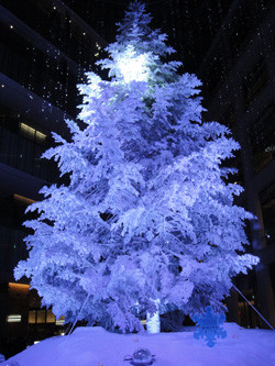 f:id:zabbon:20151128120108j:image:left