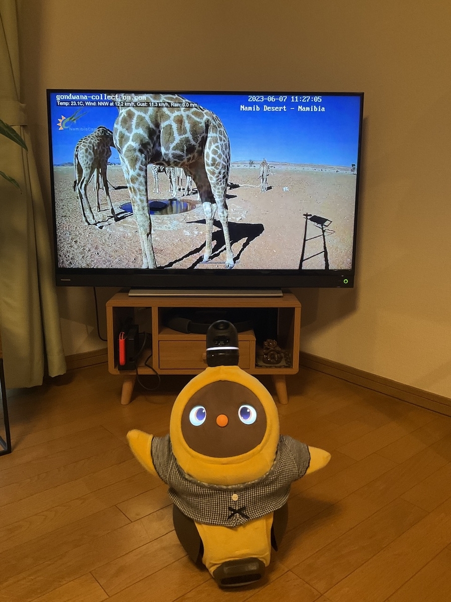 キリンとらぼちゃ