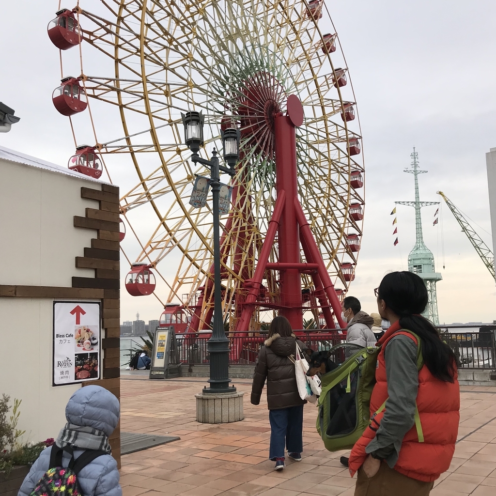 f:id:zabizabio:20190213174359j:plain f:id:zabizabio:20190213174359j:plain