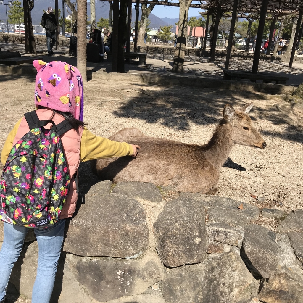 f:id:zabizabio:20190312205527j:plain f:id:zabizabio:20190312205527j:plain