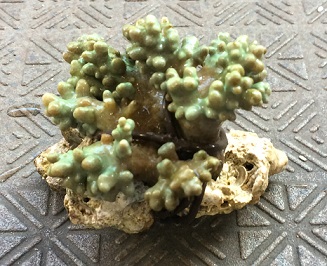 f:id:zablue:20191110185922j:plain