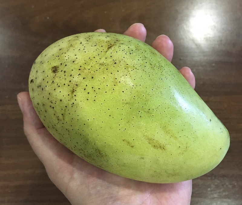 f:id:zabon-inu:20200509135102j:plain f:id:zabon-inu:20200509135102j:plain