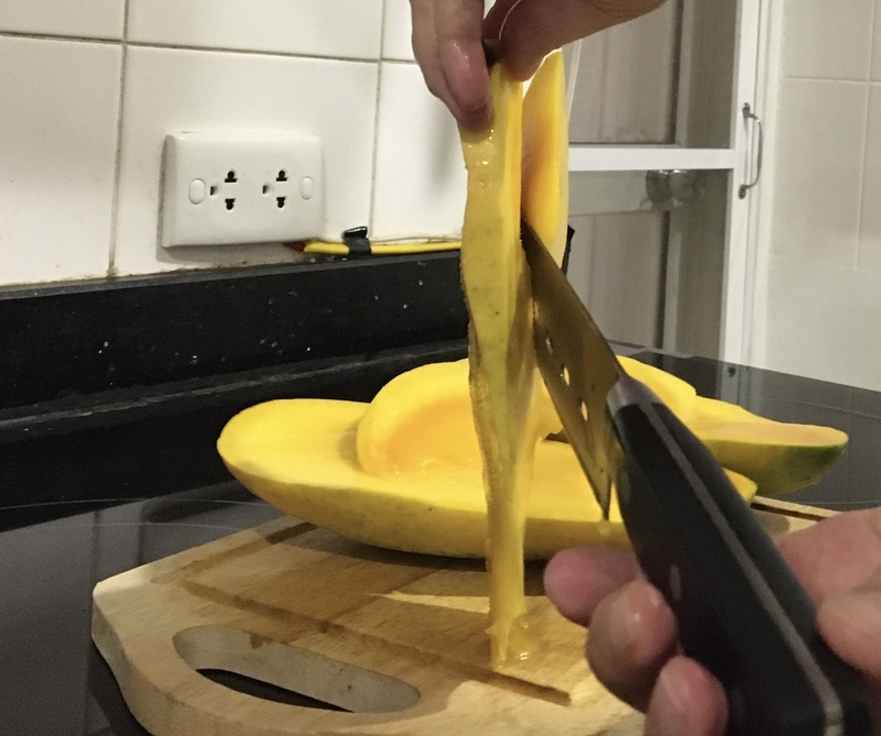 f:id:zabon-inu:20200509135236j:plain f:id:zabon-inu:20200509135236j:plain