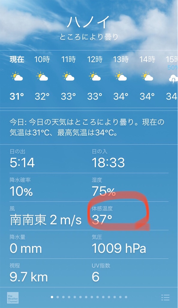 f:id:zabon-inu:20200530112645j:image f:id:zabon-inu:20200530112645j:image
