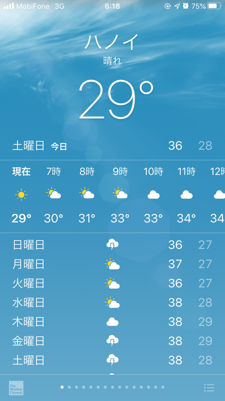 f:id:zabon-inu:20200711114234p:plain f:id:zabon-inu:20200711114234p:plain
