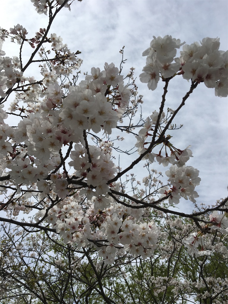 f:id:zabon-inu:20201018192052j:image f:id:zabon-inu:20201018192052j:image